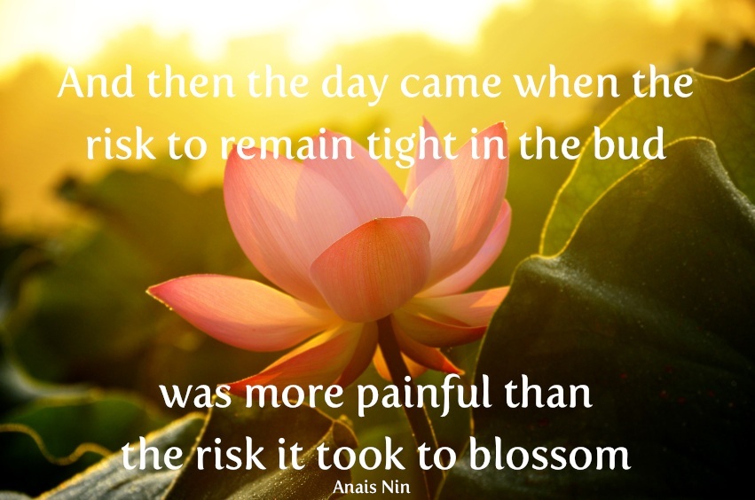 Risk to blossom